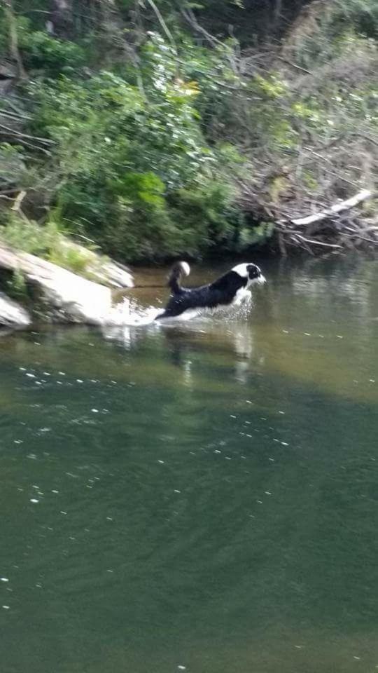 Pontal Do Moleque *
